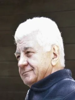 Borislav Šoškić