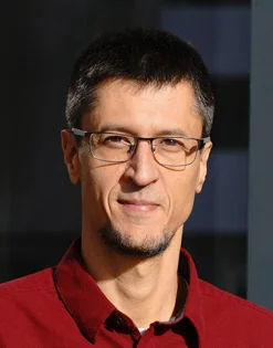 Milan Sečujski