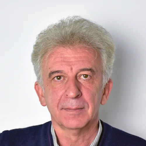 Nebojša Mitrović