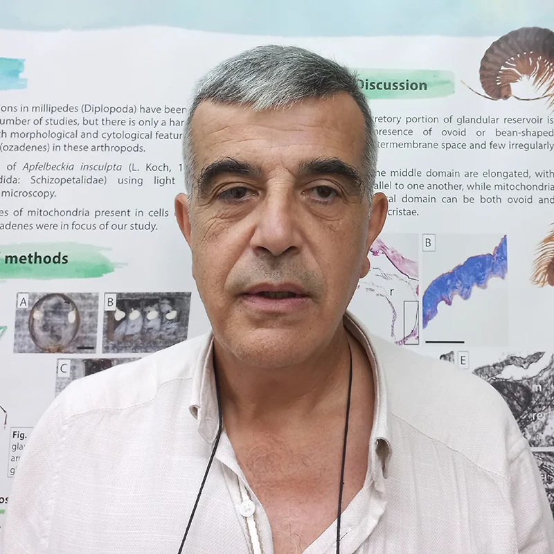 Slobodan Makarov